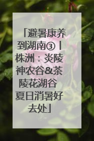 避暑康养到湖南③丨株洲：炎陵神农谷&茶陵花湖谷 夏日消暑好去处