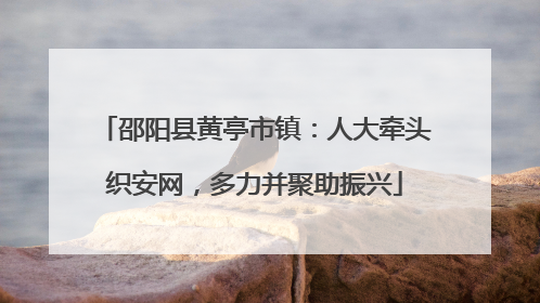 邵阳县黄亭市镇：人大牵头织安网，多力并聚助振兴