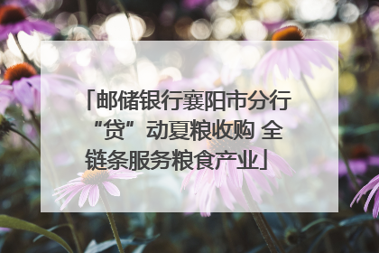 邮储银行襄阳市分行“贷”动夏粮收购 全链条服务粮食产业