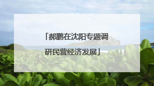 郝鹏在沈阳专题调研民营经济发展