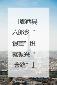 郧西县六郎乡“银茧”织就振兴“金路”