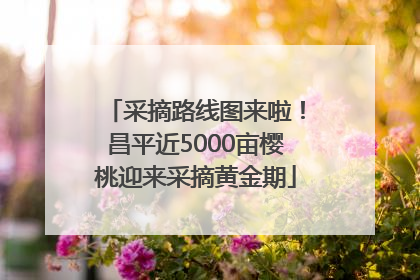采摘路线图来啦！昌平近5000亩樱桃迎来采摘黄金期