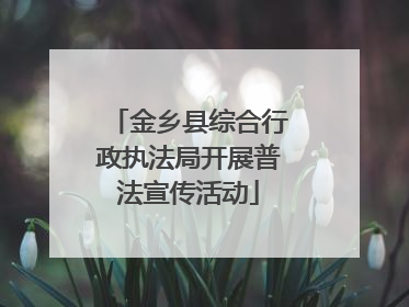 金乡县综合行政执法局开展普法宣传活动