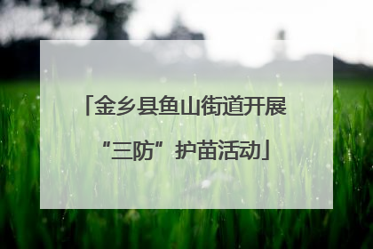 金乡县鱼山街道开展“三防”护苗活动
