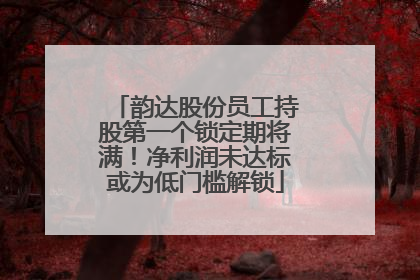 韵达股份员工持股第一个锁定期将满！净利润未达标或为低门槛解锁