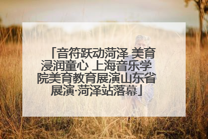 音符跃动菏泽 美育浸润童心 上海音乐学院美育教育展演山东省展演·菏泽站落幕