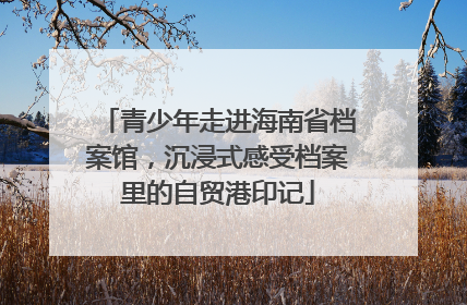 青少年走进海南省档案馆，沉浸式感受档案里的自贸港印记