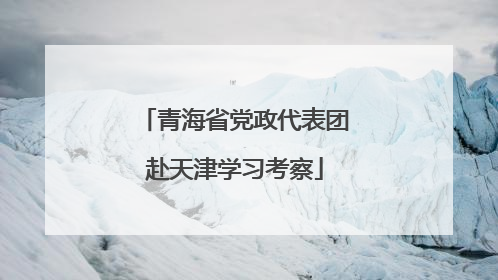 青海省党政代表团赴天津学习考察