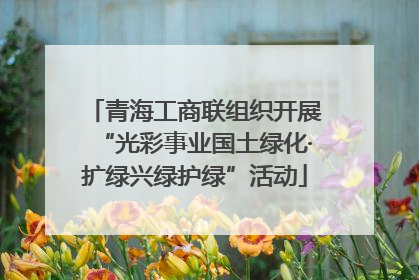 青海工商联组织开展“光彩事业国土绿化·扩绿兴绿护绿”活动