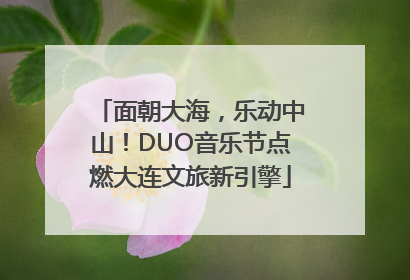 面朝大海，乐动中山！DUO音乐节点燃大连文旅新引擎