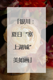 银川：夏日“塞上湖城”美如画
