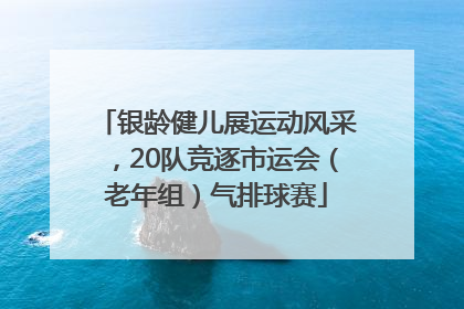 银龄健儿展运动风采，20队竞逐市运会（老年组）气排球赛