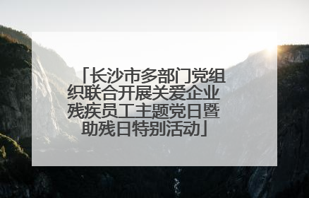 长沙市多部门党组织联合开展关爱企业残疾员工主题党日暨助残日特别活动