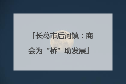 长葛市后河镇：商会为“桥”助发展