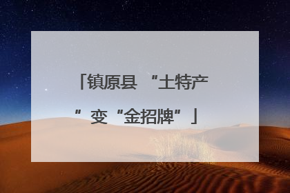 镇原县 “土特产”变“金招牌”