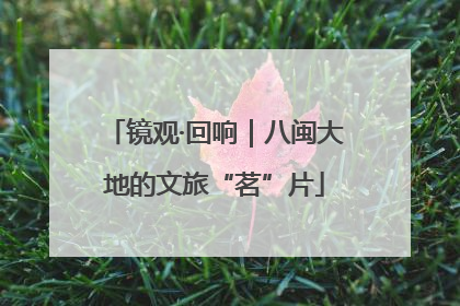 镜观·回响｜八闽大地的文旅“茗”片