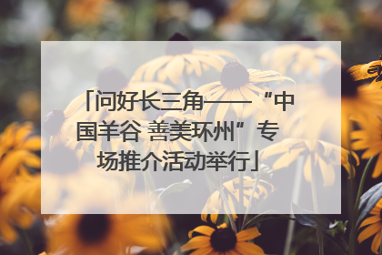 问好长三角——“中国羊谷 善美环州”专场推介活动举行