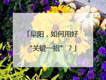 阜阳，如何用好“关键一招”？