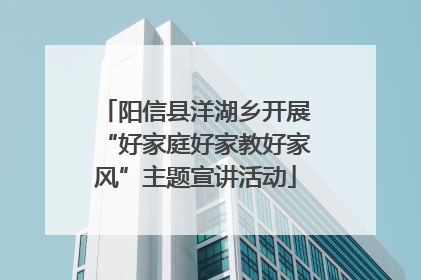 阳信县洋湖乡开展“好家庭好家教好家风”主题宣讲活动
