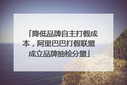 降低品牌自主打假成本，阿里巴巴打假联盟成立品牌抽检分盟