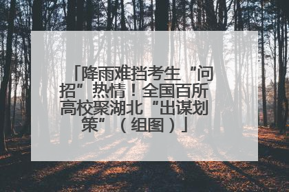 降雨难挡考生“问招”热情！全国百所高校聚湖北“出谋划策”（组图）