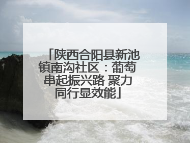 陕西合阳县新池镇南沟社区：葡萄串起振兴路 聚力同行显效能