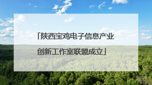 陕西宝鸡电子信息产业创新工作室联盟成立