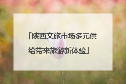 陕西文旅市场多元供给带来旅游新体验