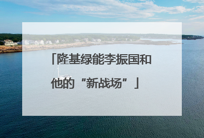 隆基绿能李振国和他的“新战场”