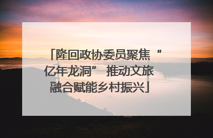 隆回政协委员聚焦“亿年龙洞” 推动文旅融合赋能乡村振兴