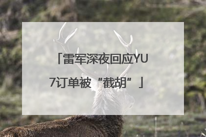 雷军深夜回应YU7订单被“截胡”