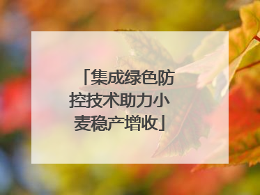 集成绿色防控技术助力小麦稳产增收