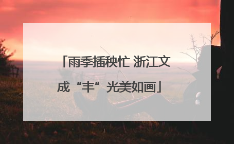 雨季插秧忙 浙江文成“丰”光美如画