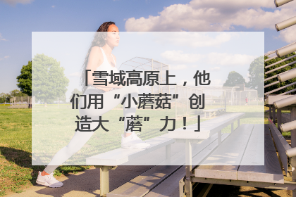 雪域高原上，他们用“小蘑菇”创造大“蘑”力！