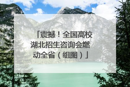 震撼！全国高校湖北招生咨询会燃动全省（组图）