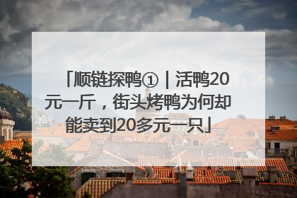 顺链探鸭①｜活鸭20元一斤，街头烤鸭为何却能卖到20多元一只