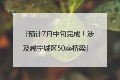 预计7月中旬完成！涉及咸宁城区50座桥梁