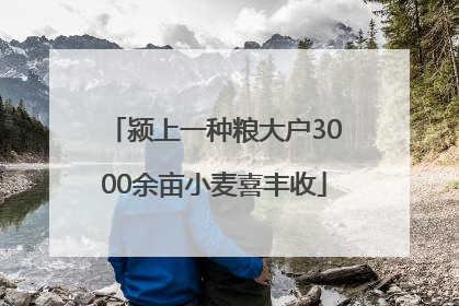 颍上一种粮大户3000余亩小麦喜丰收