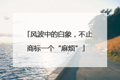 风波中的白象，不止商标一个“麻烦”