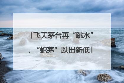 飞天茅台再“跳水”，“蛇茅”跌出新低