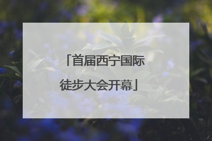 首届西宁国际徒步大会开幕