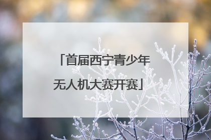 首届西宁青少年无人机大赛开赛