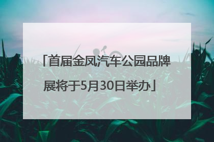 首届金凤汽车公园品牌展将于5月30日举办