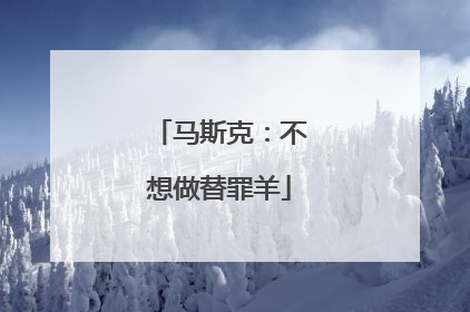 马斯克：不想做替罪羊