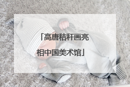 高唐秸秆画亮相中国美术馆