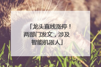龙头直线涨停！两部门发文，涉及智能机器人