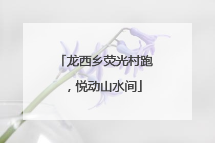 龙西乡荧光村跑，悦动山水间