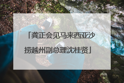 龚正会见马来西亚沙捞越州副总理沈桂贤