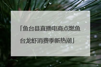 鱼台县直播电商点燃鱼台龙虾消费季新热潮