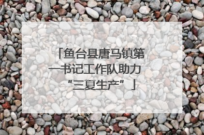 鱼台县唐马镇第一书记工作队助力“三夏生产”